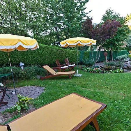 Restaurant Metzger Hotel 3*