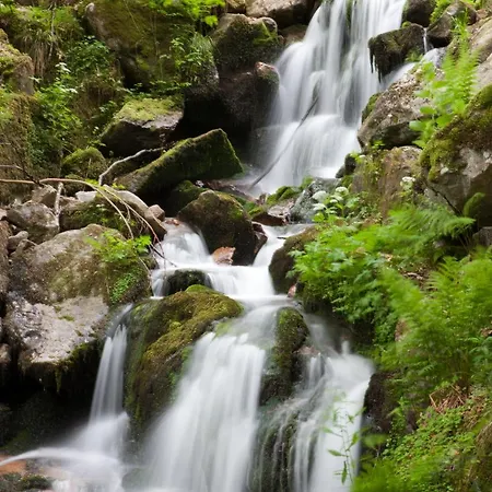 Restaurant Metzger Hotel 3*